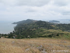 Tiburon peninsula