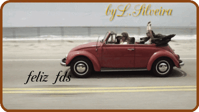 fljWc3cFGIEb.gif