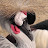 BirdHeartChannel
