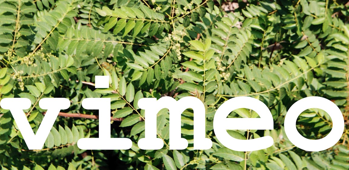 Vimeo