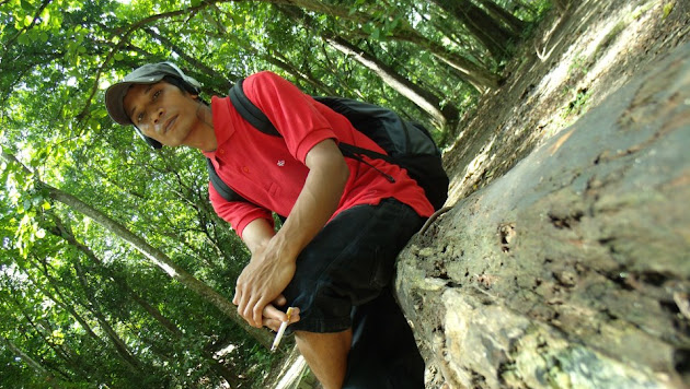 Cover photo