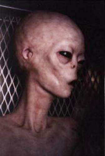 Different Alien Species Detailed By Eyewitness Reports
