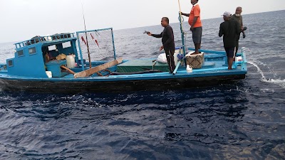 Photos of Hanifaru Bay
