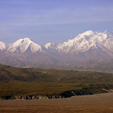 Denali National Park. AK