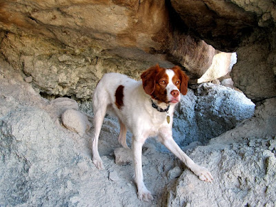 Torrey in a small cave
