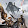 James Fields James Fields's profile photo