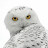 Mary Stanley avatar image