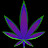 Christopher Ha avatar image