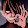 Filipe Gonçalves Filipe Gonçalves's profile photo