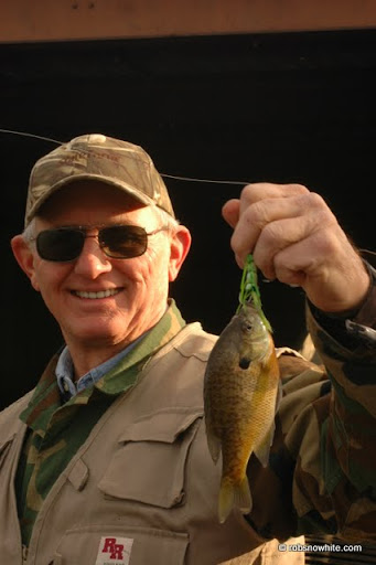Four Mile Run sunfish on dry fly in December