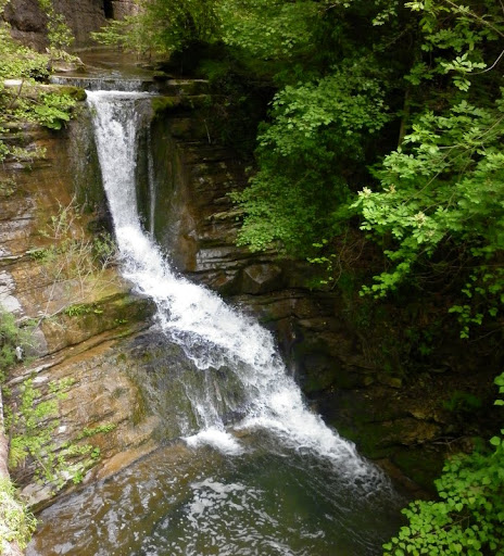 P1000567.JPG
