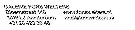 Galerie Fons Welters logo