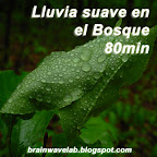 Lluvia suave en el Bosque 80min