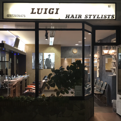 Luigi Hair Stylists logo