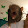 Lori Winterhoff Lori Winterhoff's profile photo