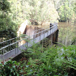 Mooney Dam (53411)