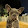 Yaniv Ben-Asher Yaniv Ben-Asher's profile photo