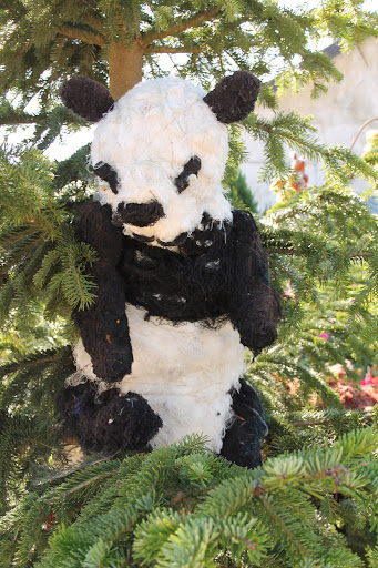 Mrówkojada może i nie ma, jest za to panda wielka!