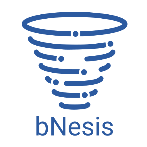 Image pertaining to BNESIS DEVELOPER
