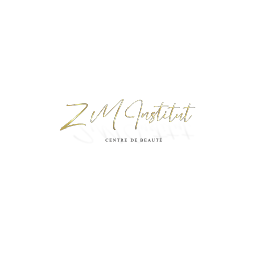 ZM Institut logo