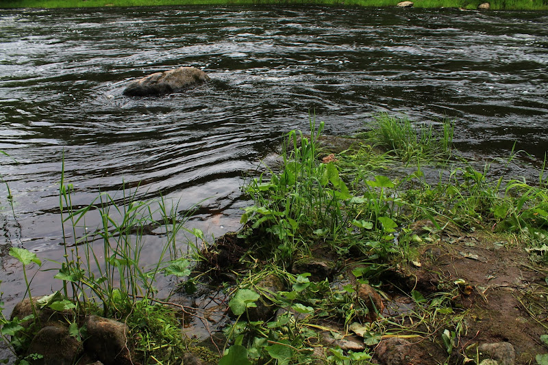 Золотое кольцо Карелии (фото).