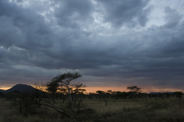 Serengueti, Tanzania