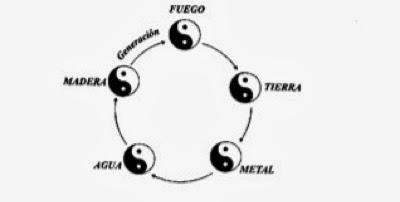 APUNTES SOBRE MEDICINA TRADICIONAL CHINA REFLEXIONES INTROD AL RM AGUA