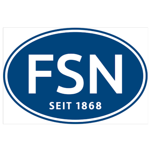 FSN Autohaus VW Rostock logo