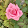 gautam singh gautam singh's profile photo
