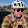 George Hsu George Hsu's profile photo