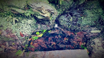 Photos of Dun na ri forest park