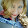 Cindy Shea Cindy Shea's profile photo