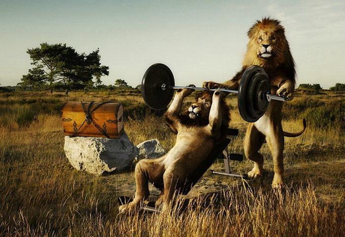 100-Amazing-&-Cool-Funny-Pictures-36 Image alt tage here