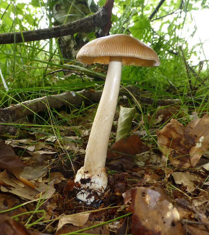P1060918.JPG
