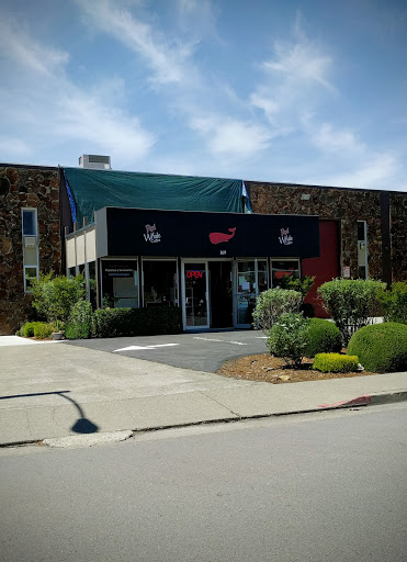 Coffee Shop «Red Whale Coffee», reviews and photos, 169 Paul Dr, San Rafael, CA 94903, USA
