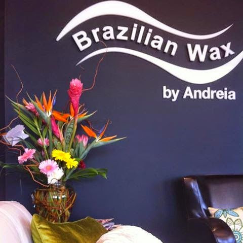 Brazilian Wax by Andreia logo