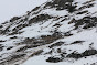 Avalanche Haute Maurienne, secteur Bessans, RD 902 - Praz Rot - Photo 4 - © Duclos Alain