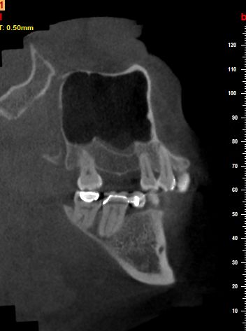 www.dentaloffice.com.mx