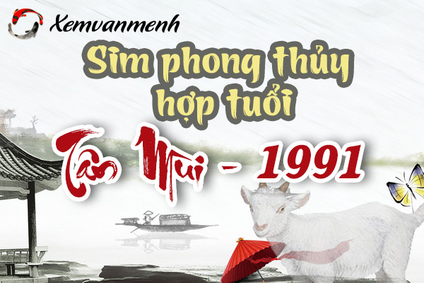 xem-sim-phong-thuy-hop-tuoi-tan-mui-1991