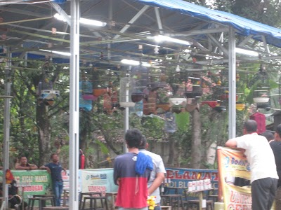 Photos of Grobogan Bird Lover's Community