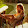 Ratna Ahmed Ratna Ahmed's profile photo