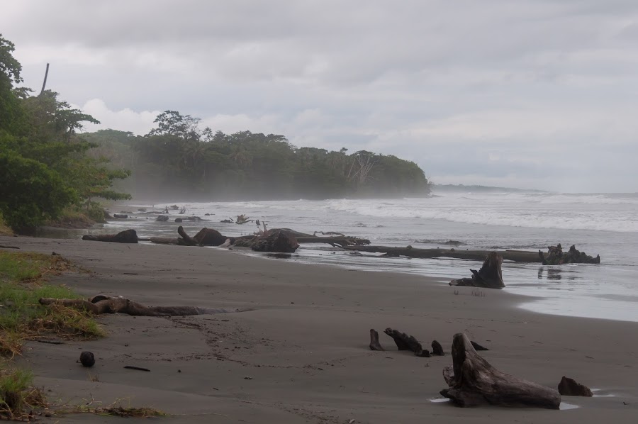 Наши приключения в Коста-Рике. Май 2015 (много фото)