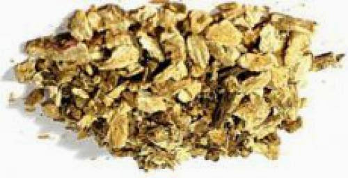 Angelica Herb