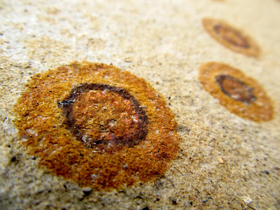 Circular iron stains in the sandstone