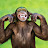 Simon Kelly avatar image