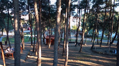 Photos of Şirintepe Pine Grove Park