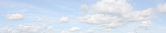 Cover photo