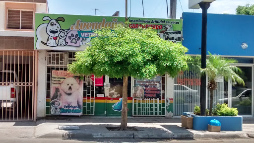Clínica Veterinaria Avendaño, Ignacio Ramírez no. 38 y blvd. 16 de septiembre, Centro, 81000 Guasave, Sin., México, Cuidado de mascotas | SIN