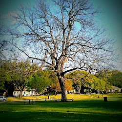 Prairie Creek Park Prairie Creek Park's profile photo