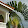 Paradise Palms Jamaica Villa Paradise Palms Jamaica Villa's profile photo